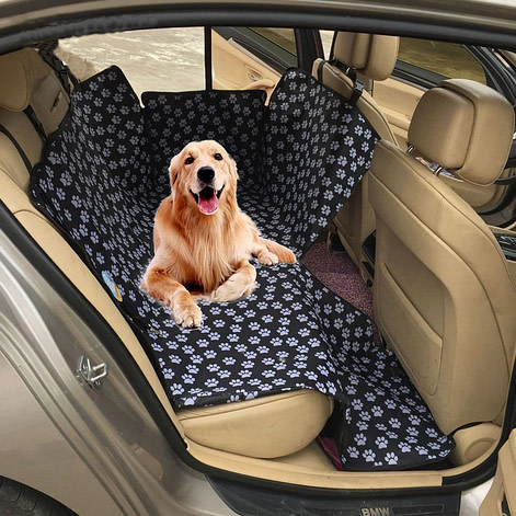 bmw pet accessories